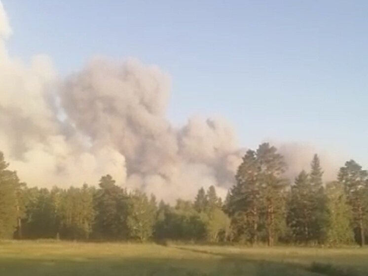 В картинках пожар