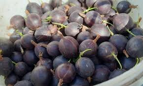 Из свободного источника 