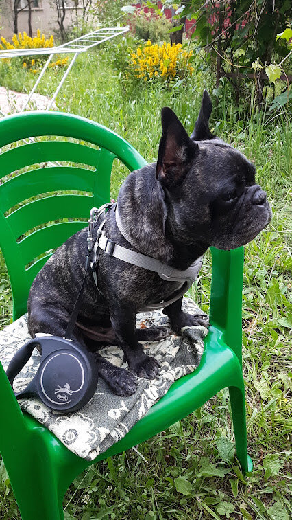 В ожидании жертвы...