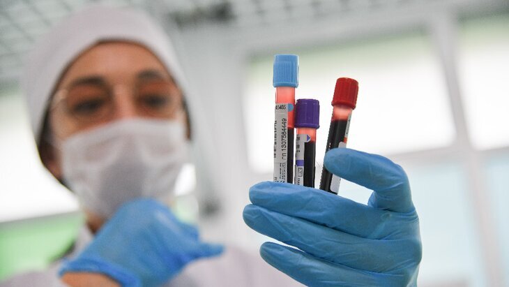 Фото: Москва 24/Антон Великжанин