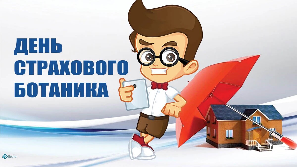 Работают сегодня картинки