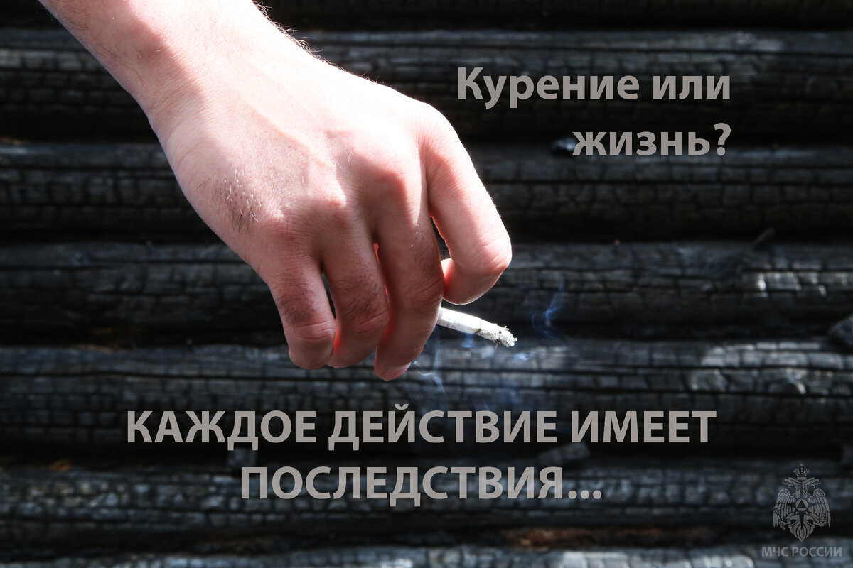 Картинка не кури на телефон