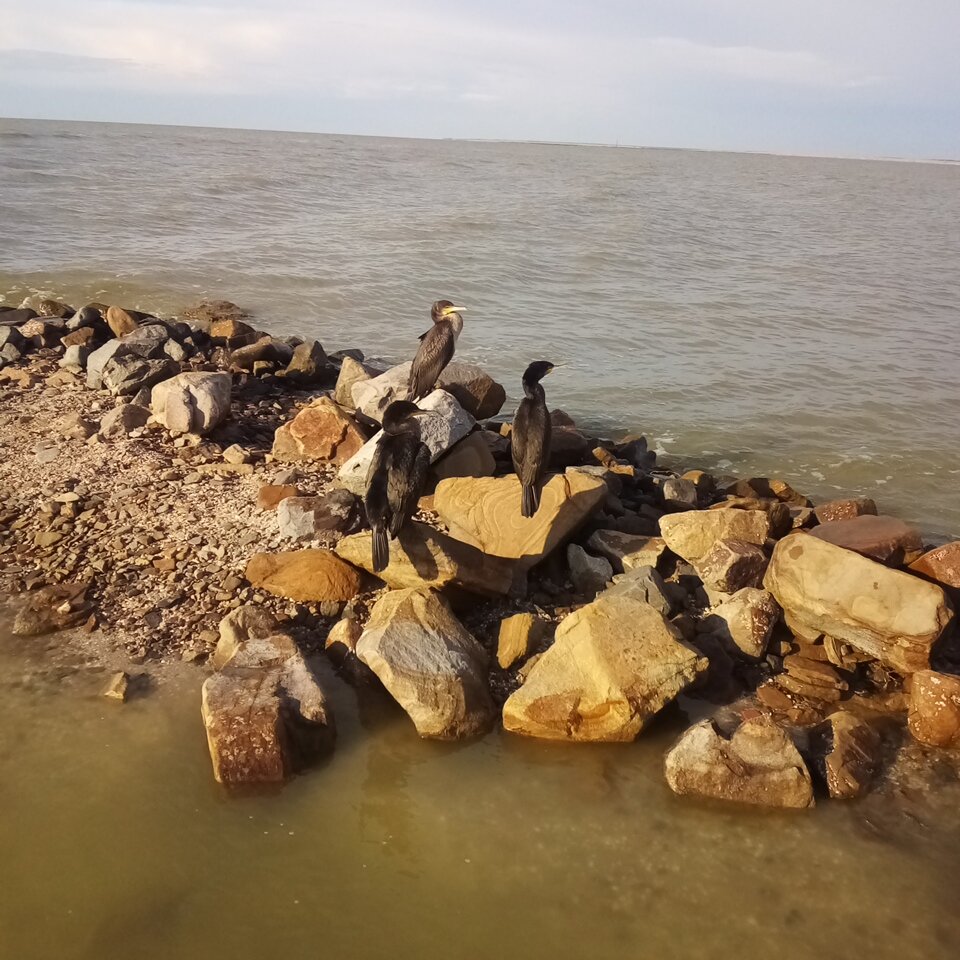 Красавчики,соображают на троих..)