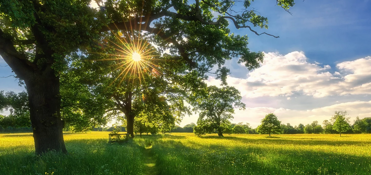 Картинки Яндекс