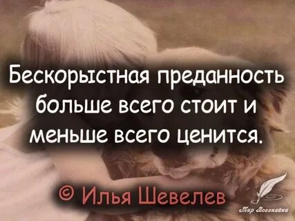 «Имея , не ценим, а, потеряв,  плачем»