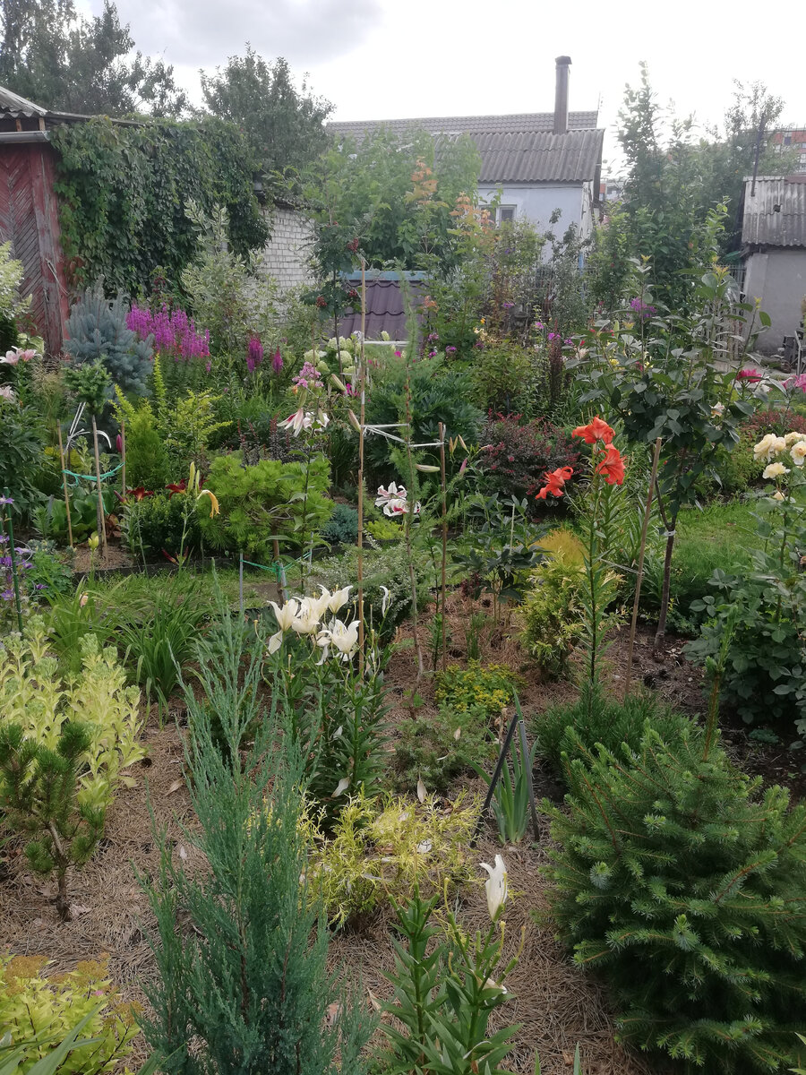 Для меня сад без крупных деревьев и хвойных какой-то "голый"