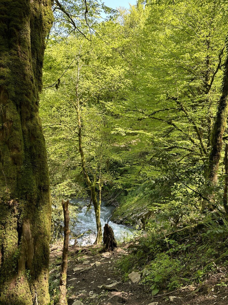 Сочи 30 лет назад фото