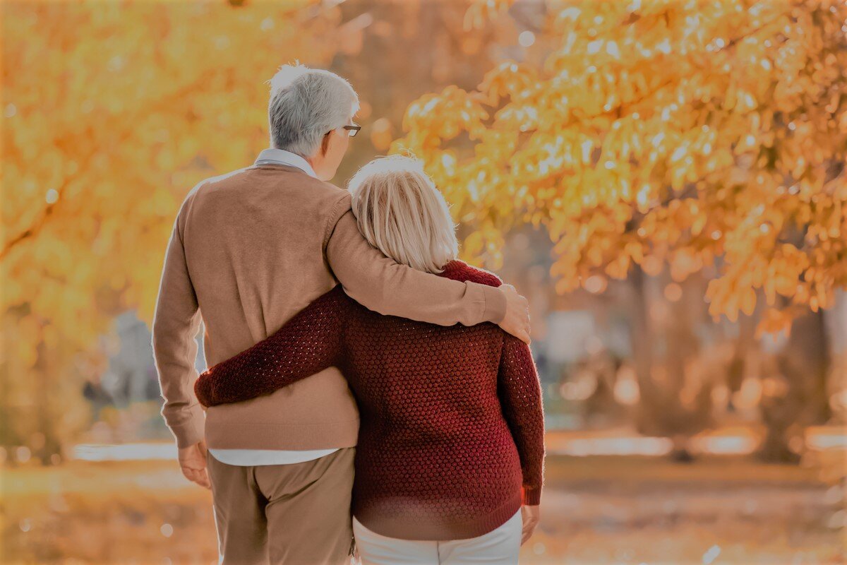 Яндекс. Картинки