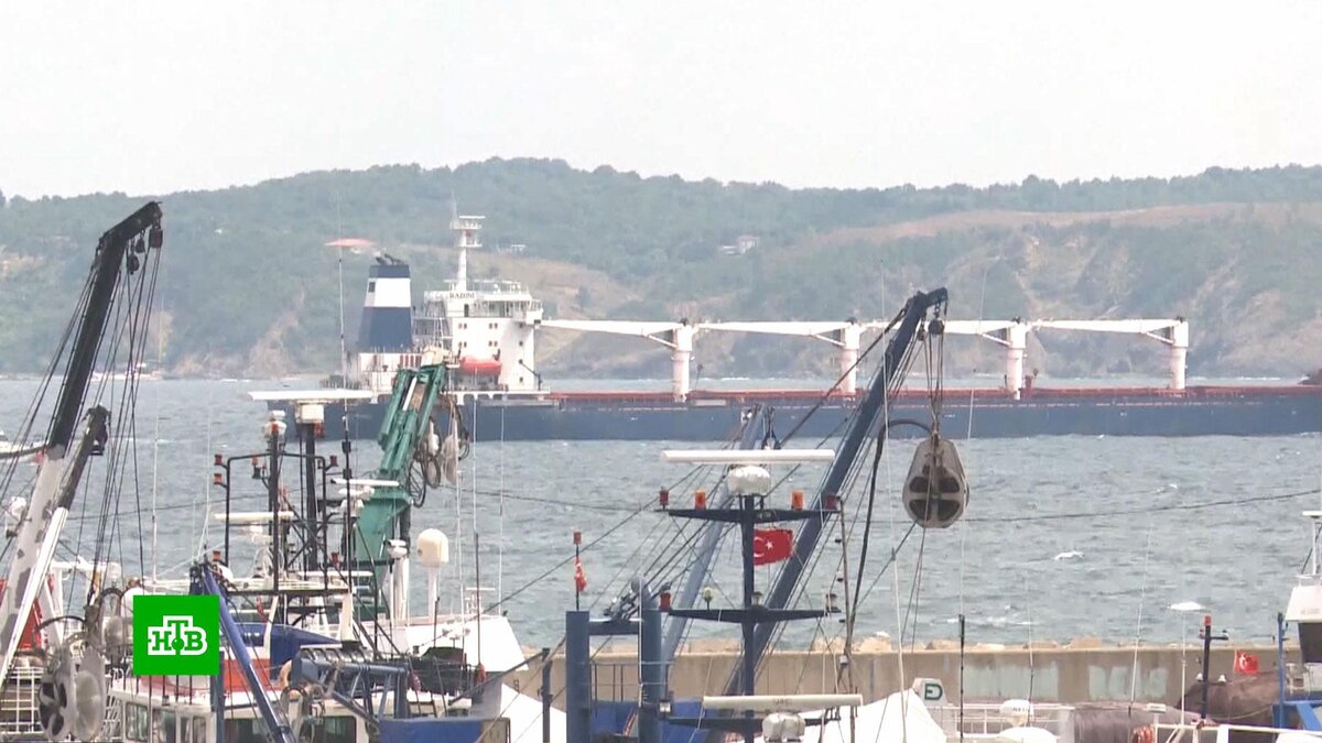    Россия будет считать следующие в порты Украины по Чёрному морю суда перевозчиками военных грузов