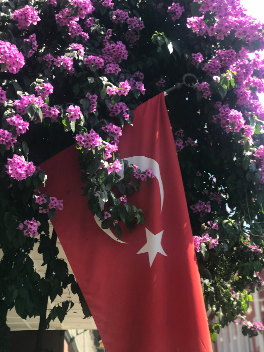 На улицах Стамбула 