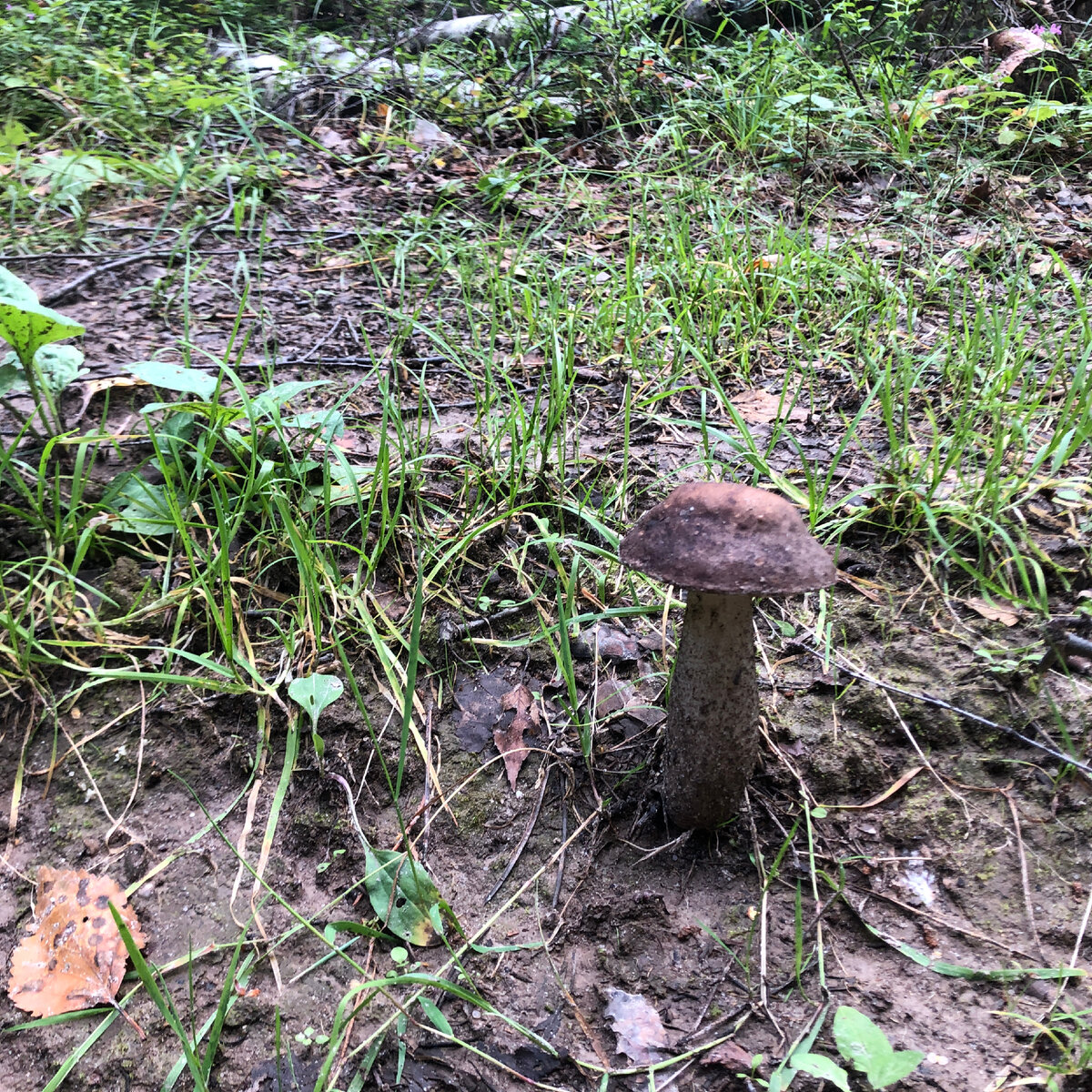 Трудно пройти мимо.