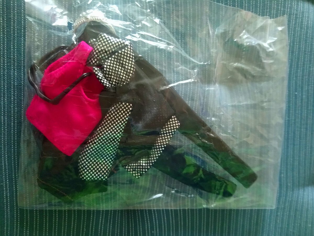 Сам пакетик с одеждой