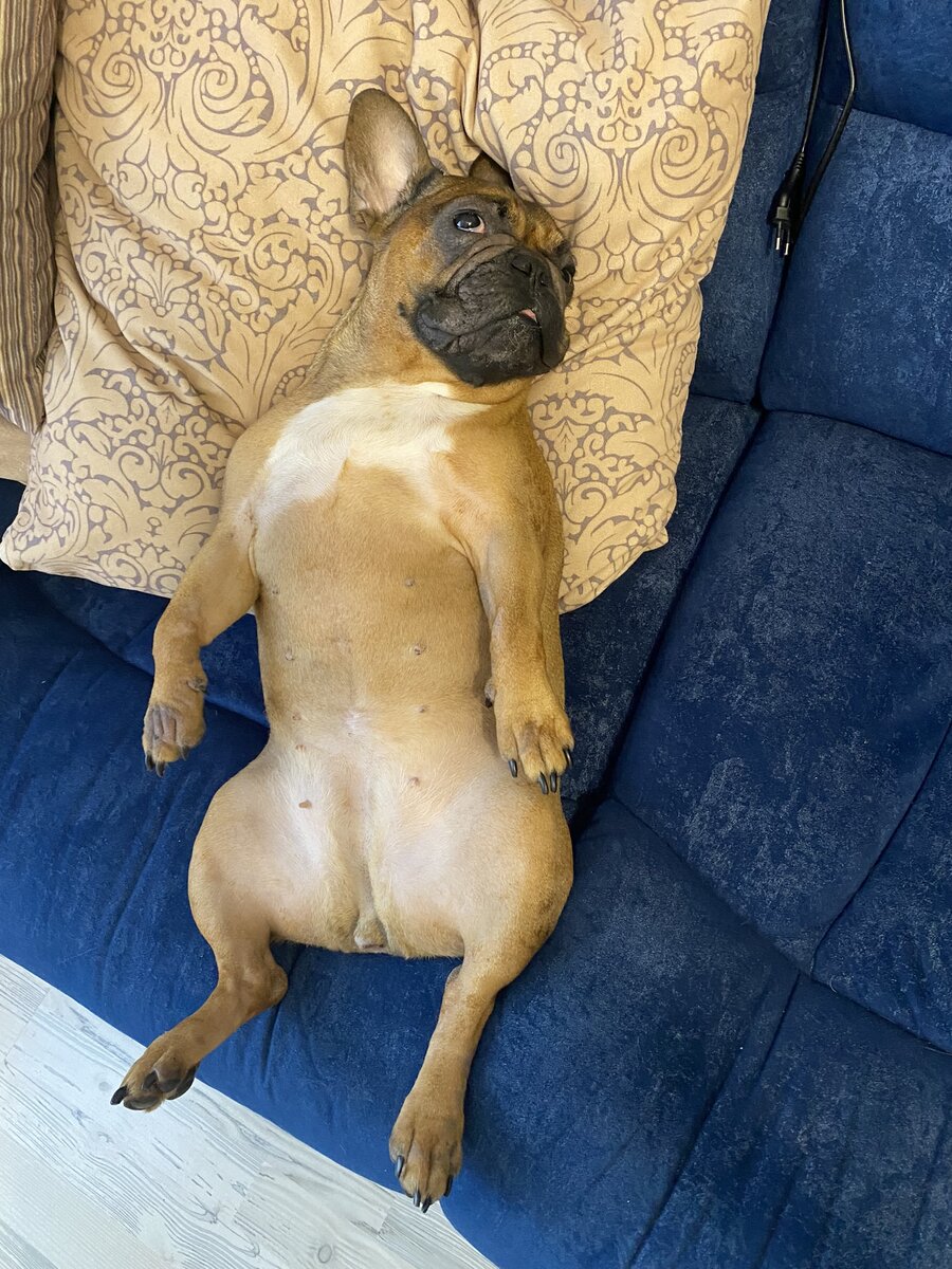 О, неееееет! - подумала я и упала в обморок прям в кабинете врача. Шутка. Но состояние внутреннее у меня было примерно такое, как у Шарлиз на фото. Понимать, что есть вполне себе серьезные проблемы со здоровьем крайне неприятно и это даже шокирует. Фото автора