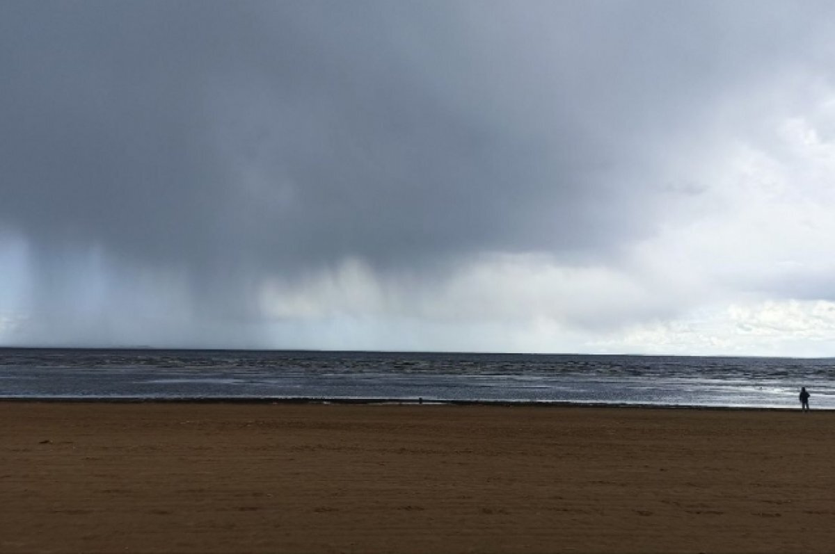    В Ленобласти под влиянием атмосферного фронта ожидаются дожди и грозы