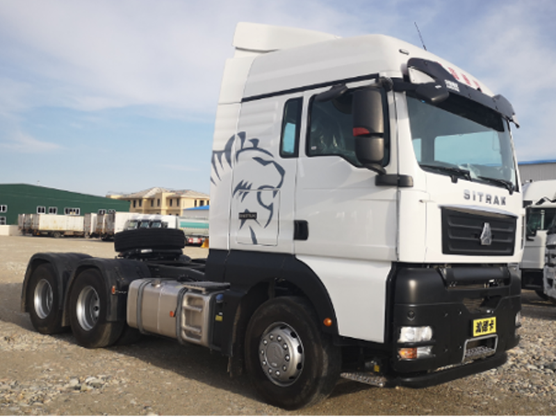    Sitrak Лариса Максимычева