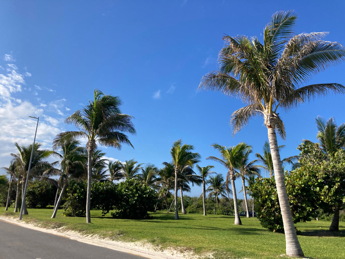 Природа Канкуна