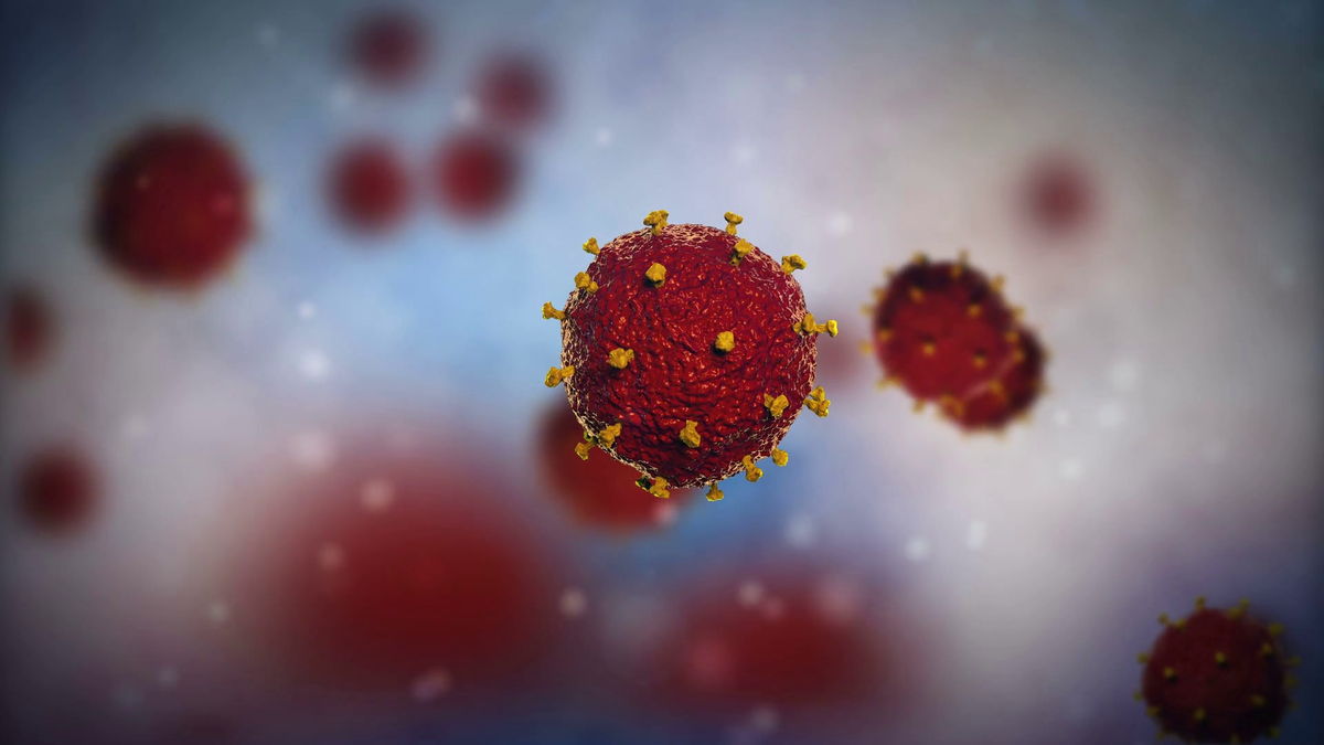 Вирус кори под микроскопом, источник Яндекс картинки