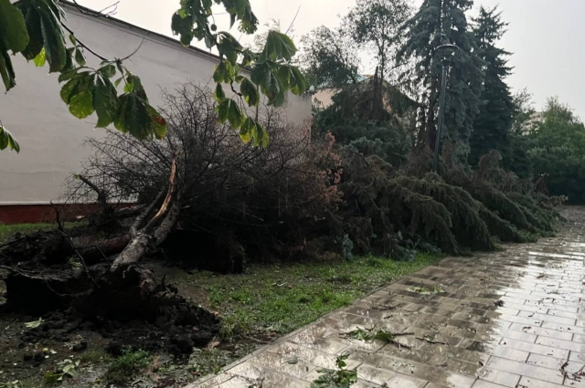    Из-за сильного ливня белгородцев просят по возможности не выходить на улицу