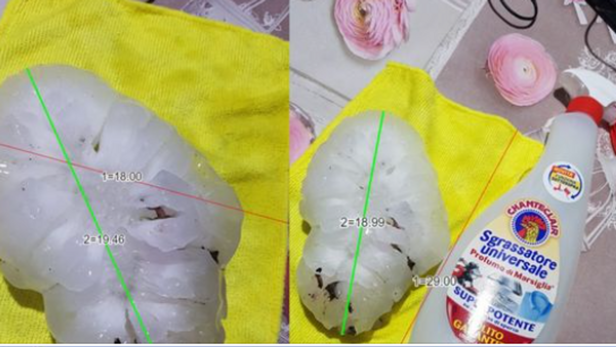 Размер градин, выпавших на севере Италии