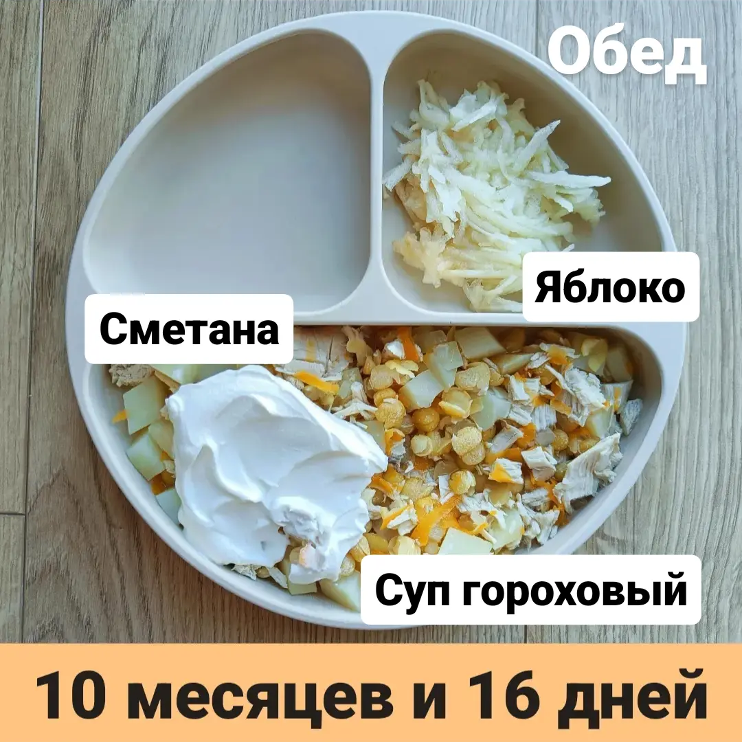 Пример тарелки в 10 месяцев 