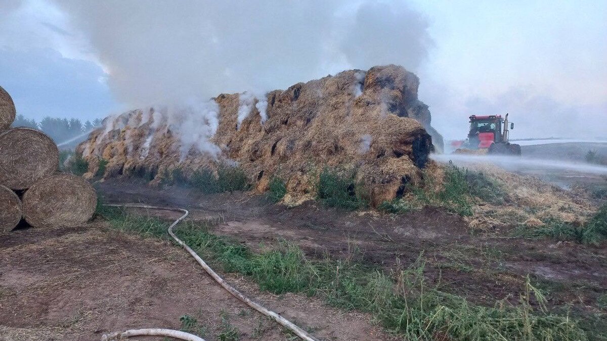     Всего с 30 на 31 июля в Удмуртии произошло 9 пожаров.