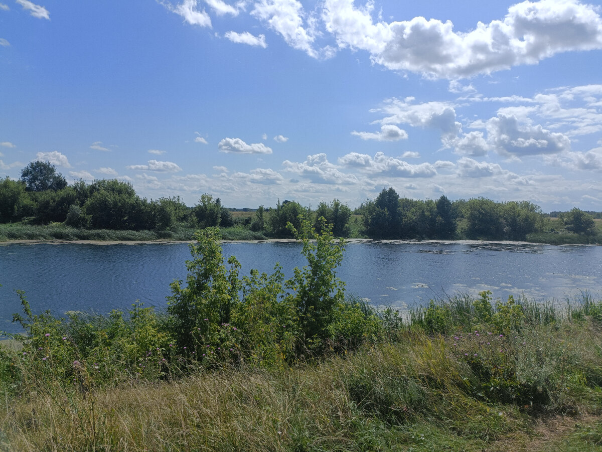 Река Воронеж, Мичуринский район, село Старое Тарбеево