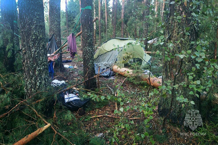    Ураган повалил десятки деревьев, часть из которых упала прямо на палатки с отдыхающими Фото: телеграм-канал МЧС России
