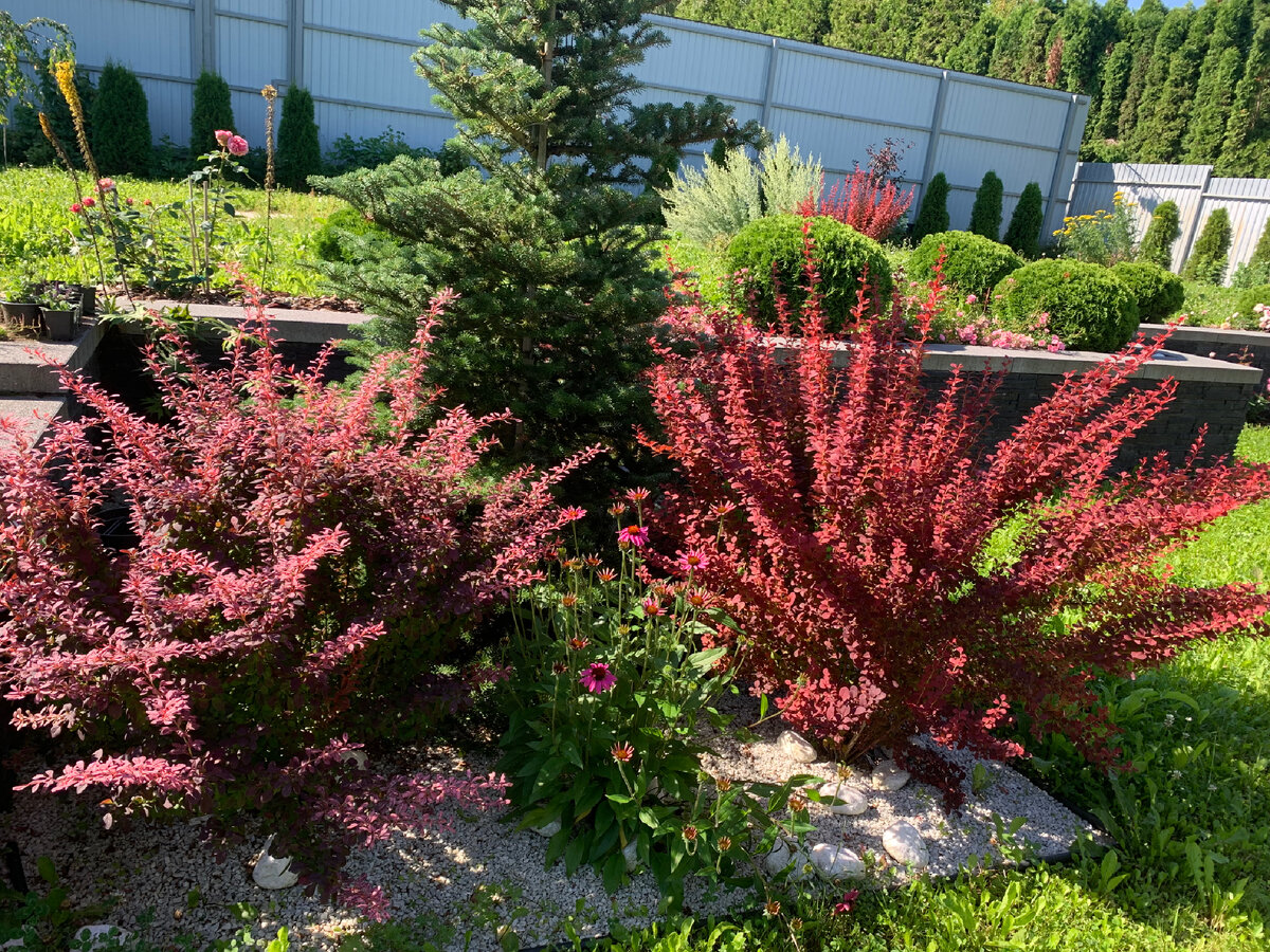 Караул! Срочно требуется стрижка.