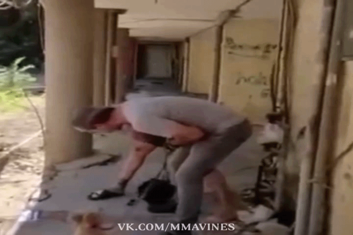 Собака не вдупляет, что случилось.