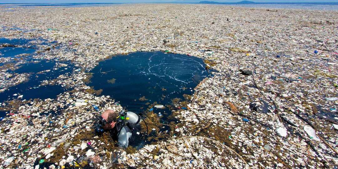 Почему нельзя просто так взять и убрать пластик из океана? Как это может навредить природе?