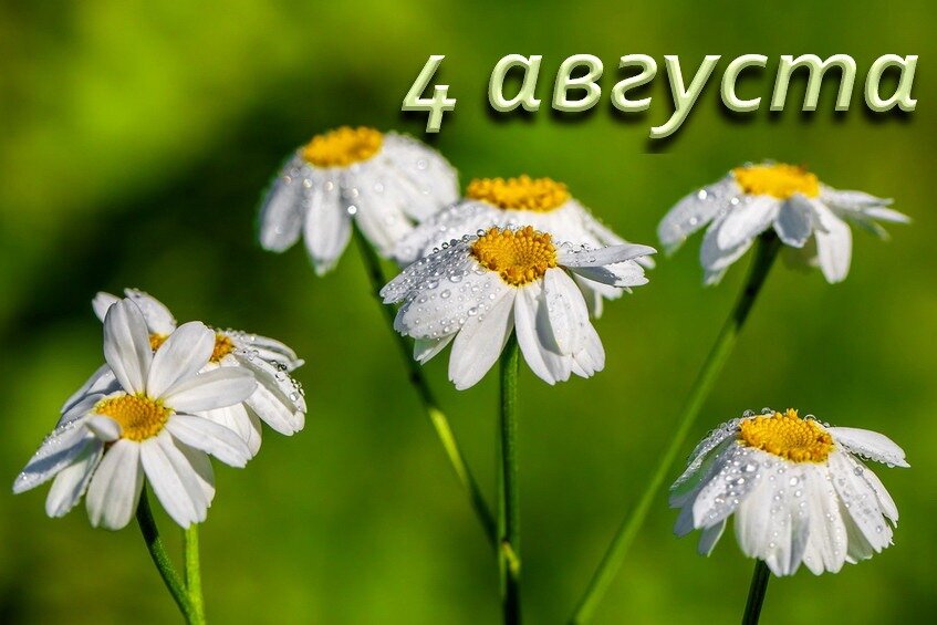 Что будет 4 августа. 4 Августа. 4 Августа открытки. День 4 августа праздник. 4 Августа народный календарь картинки.