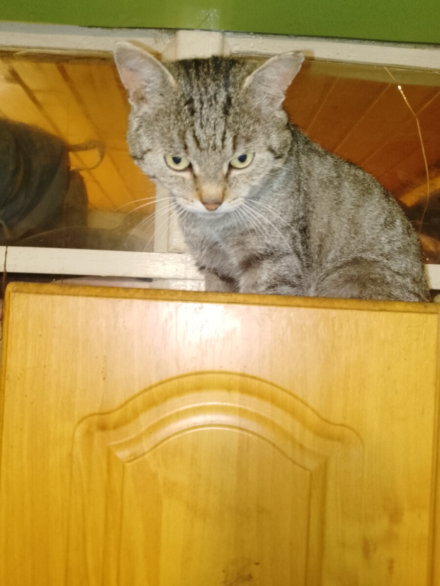 На своём любимом месте. 