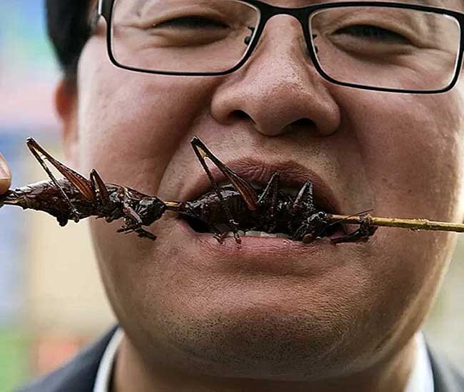 У них это норма. Фото https://grodno24.com/