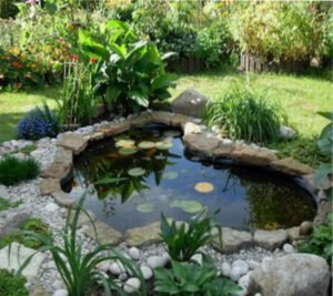 оформление берега