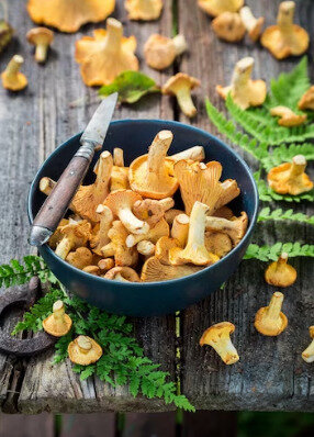 Как правильно отварить лисички перед жаркой