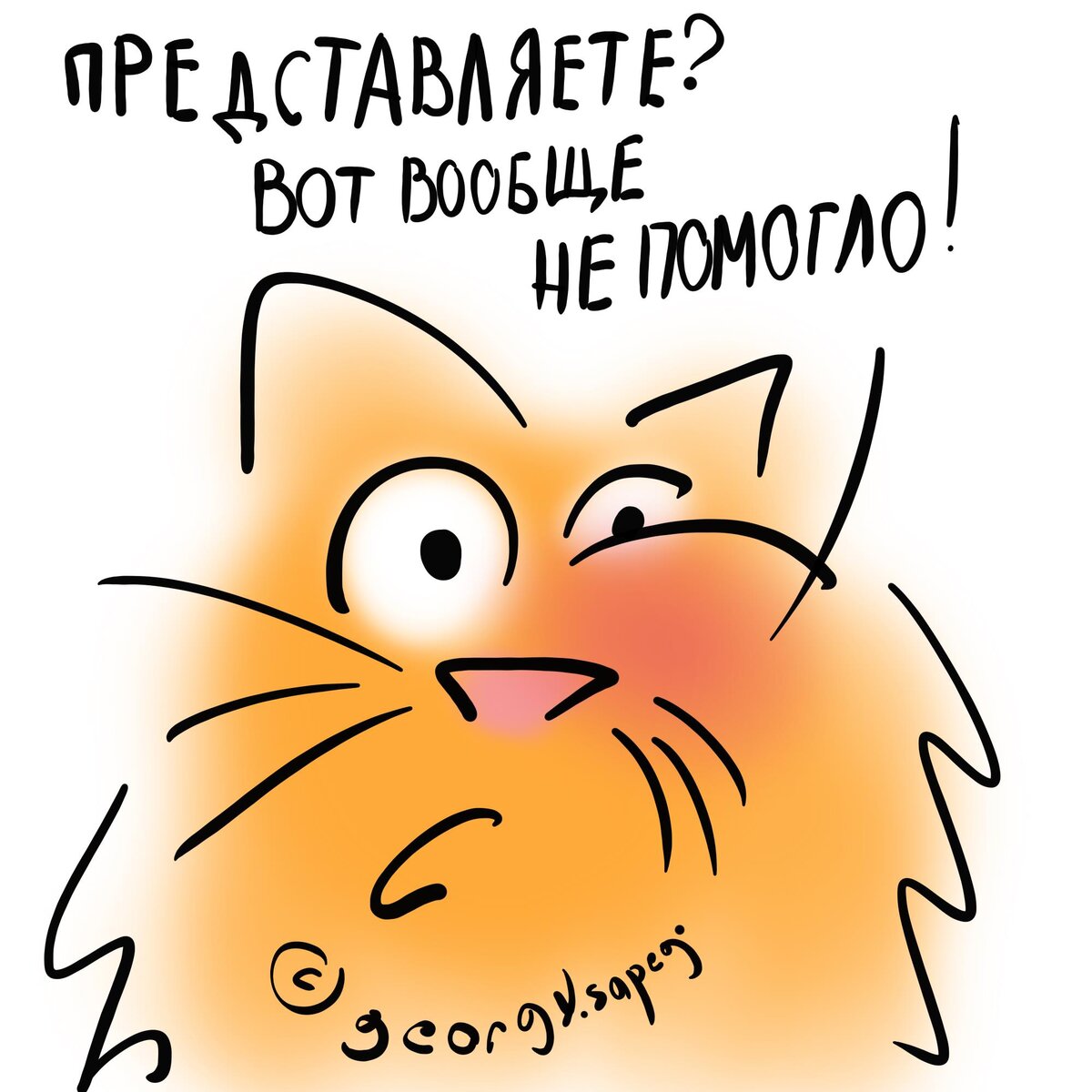 Больной котик
