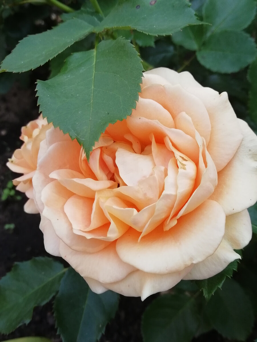 Фото из личного архива автора 