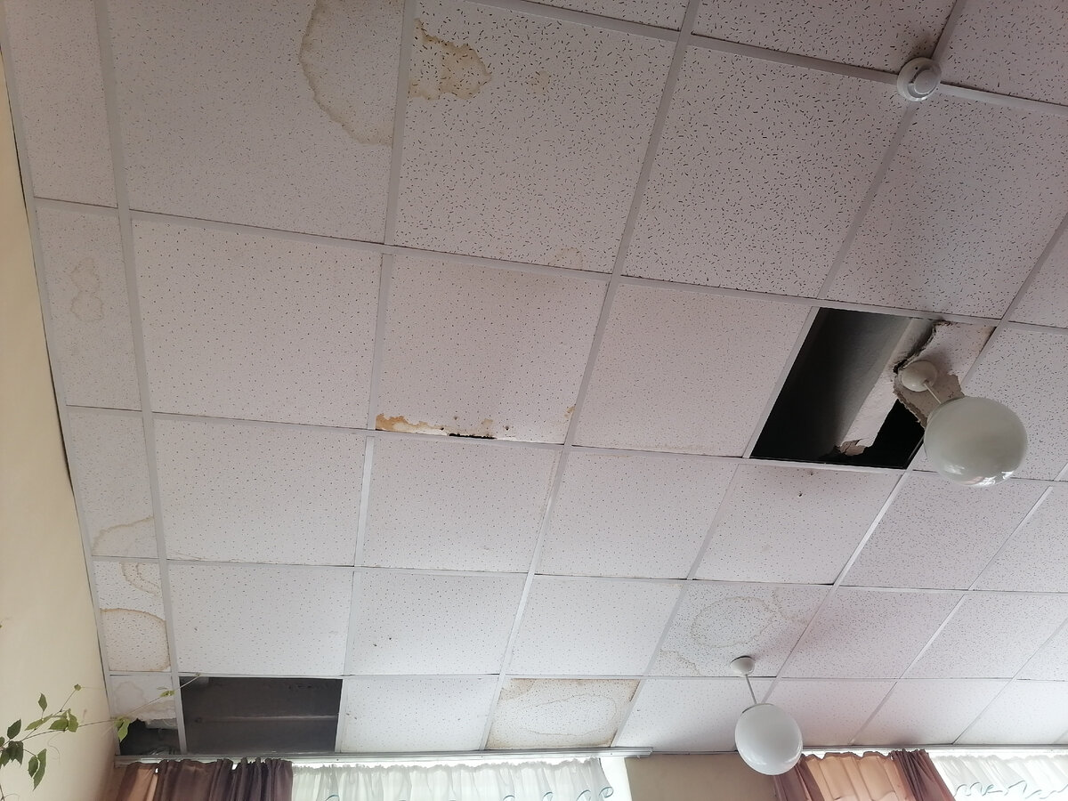 Такая красота