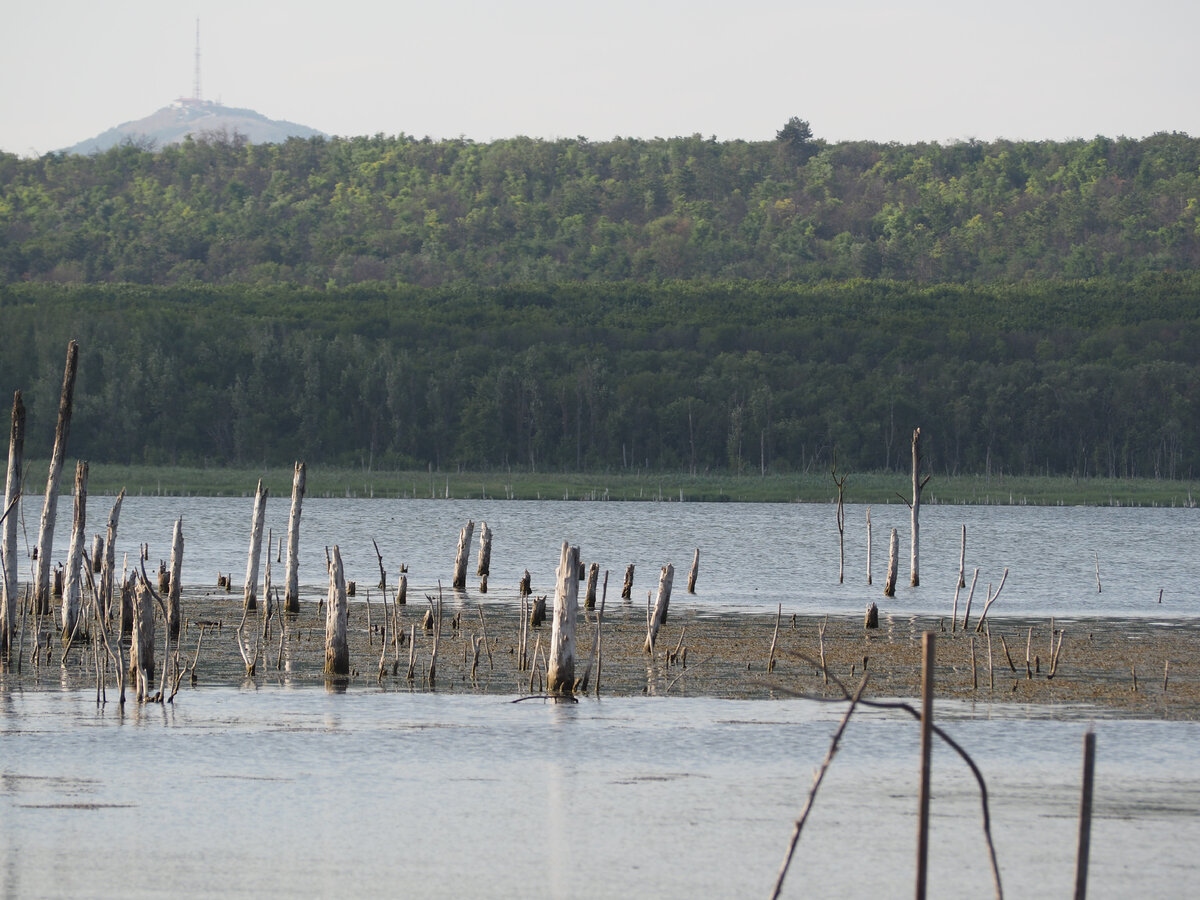 На фоне - вершина горы Машук