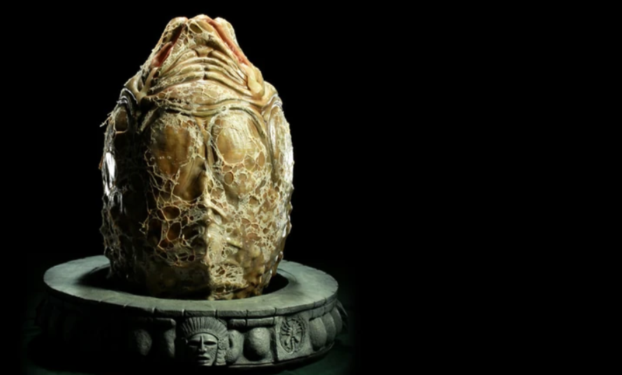 Фигурки neca alien: covenant creature pack 51660. Чужой фильм 1979 лицехват. Яйцо лицехват чужой яйцо. Яйцо лицехват чужой яйцо. Яйцо чужого.