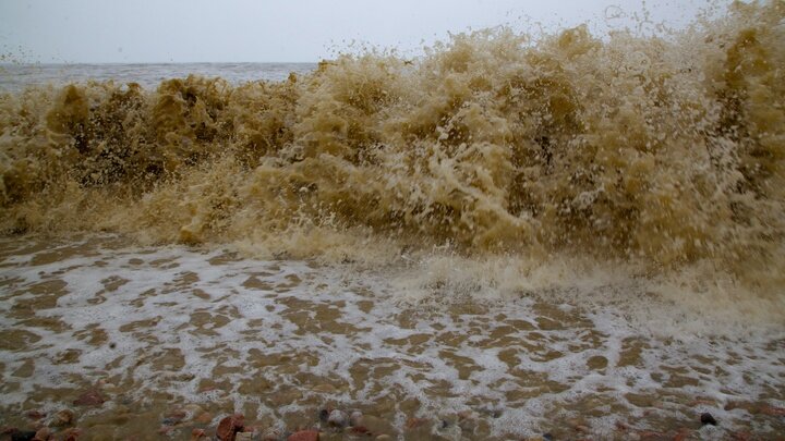 © ALEKSANDER LYSKIN/GLOBALLOOKPRESS