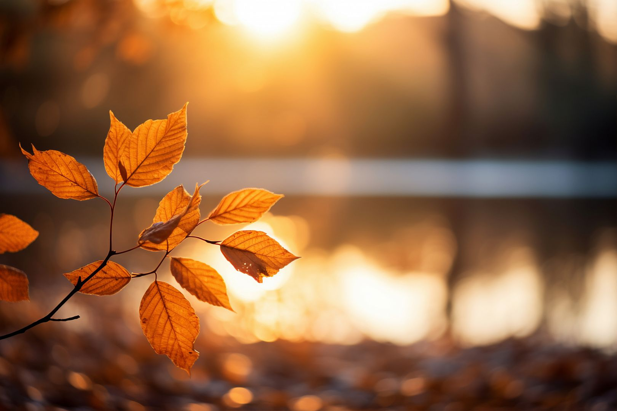 Фото: https://ru.freepik.com/author/freepik 