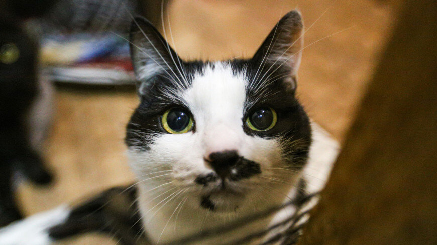 ФОТО : МТРК «МИР» / Ирина Фомочкина