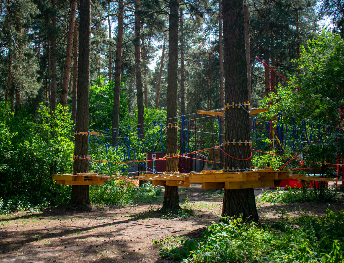 Фотография автора статьи. 