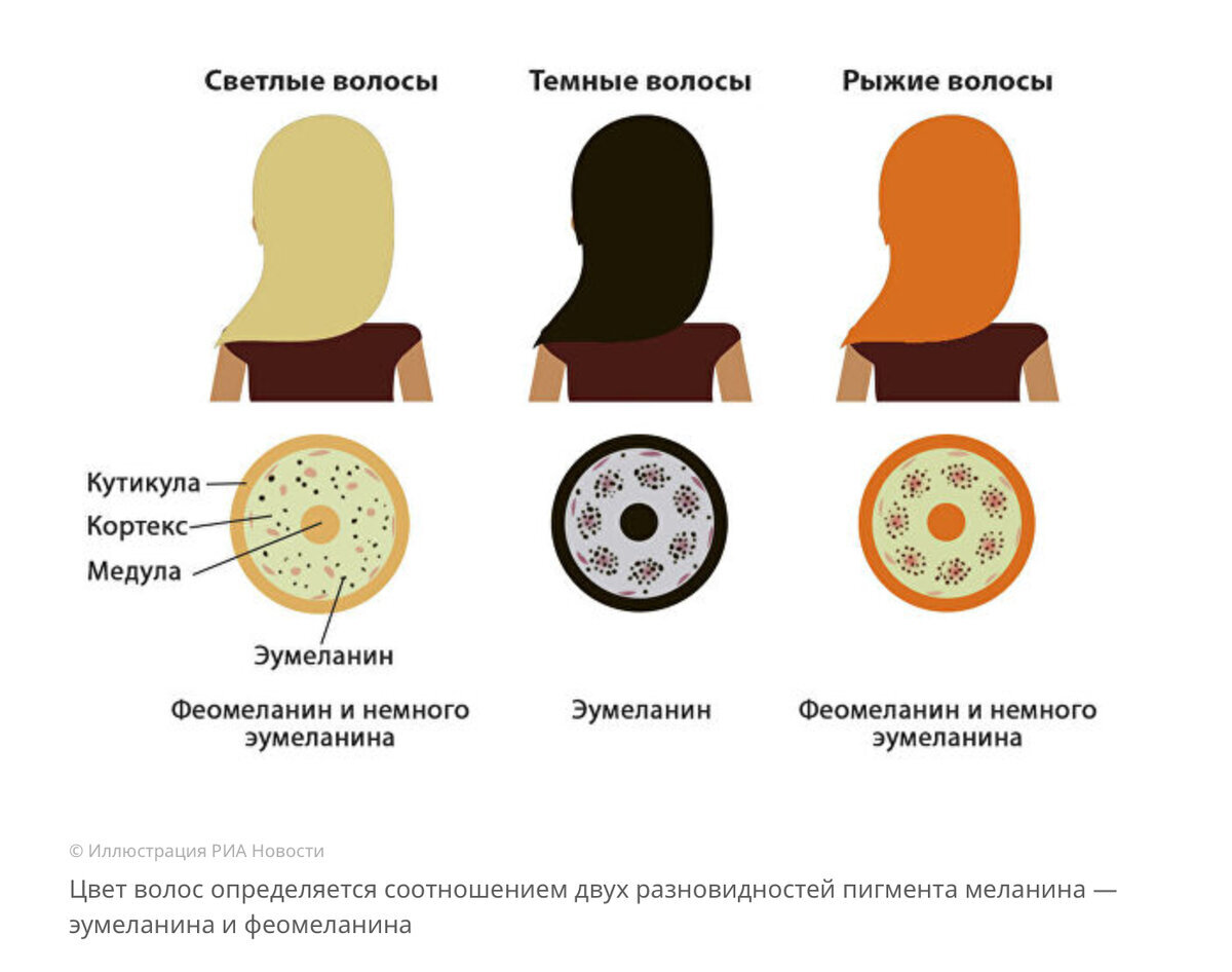 Истории красоток с самым сексуальным цветом волос, рыжие волосы - 16 апреля - ру