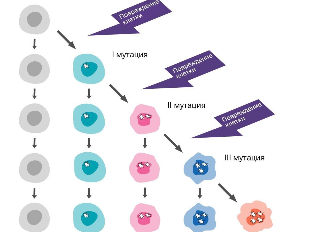    Накопление изменений в ДНК со временем приводит к возникновению раковых клеток© FORCE