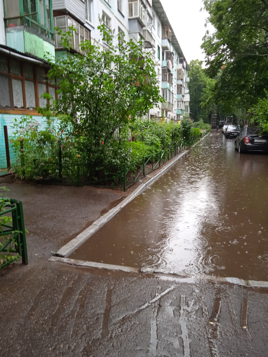 Опять - дождь. 