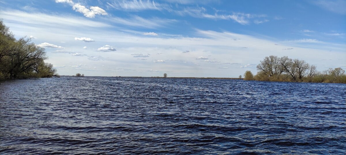 Самый длинный и второй по полноводности приток озера Ильмень - река Ловать, длина которой 530 км, а исток находится в Витебской области республики Беларусь - была частью древнего торгового маршрута Из Варяг в Греки. И если верить приданию, то в этом самом месте находились "ворота". Железная цепь, перегораживающая русло. Где с путешествующих торговцев брали плану за право продолжить путь. // фото моё.