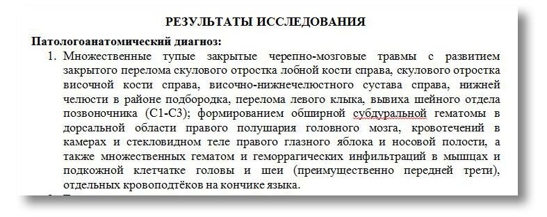 ЧП случилось в тульском дачном кооперативе «Политехник» в Горелках. Туляки Алина и Григорий Самохины до сих пор в шоке: их любимец черный кот по кличке Котэ погиб страшной смертью.-3