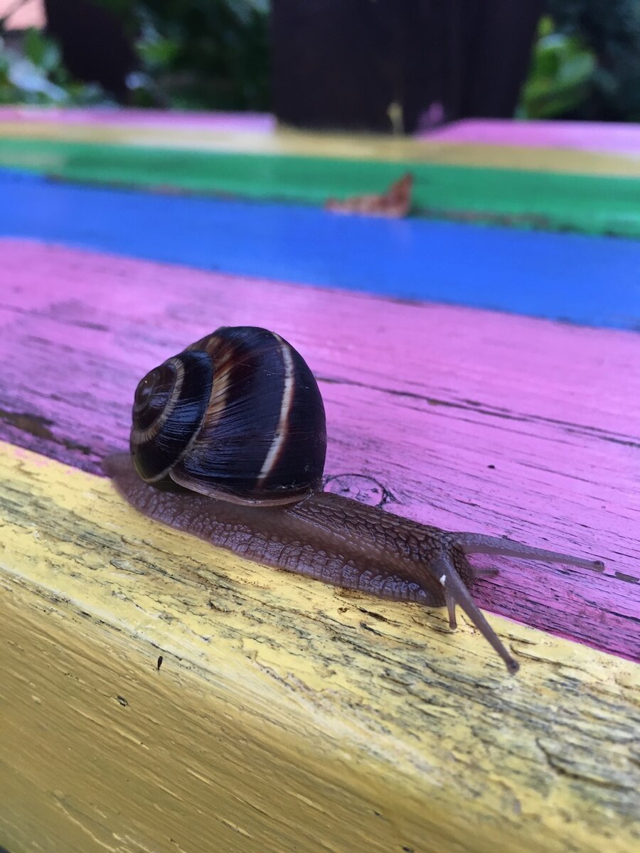 Фото автора. Просто для иллюстрации статьи.